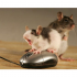 La souris est un dispositif de pointage